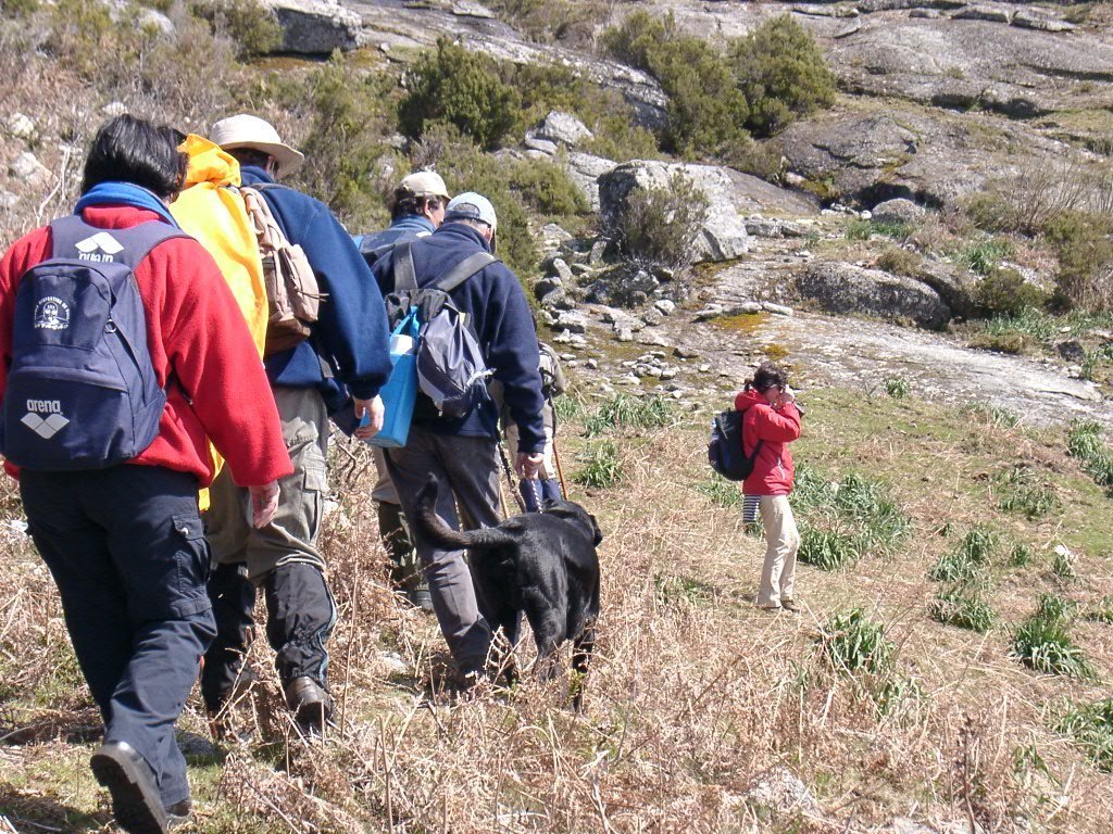 Marcha ao Alto da Pedrada