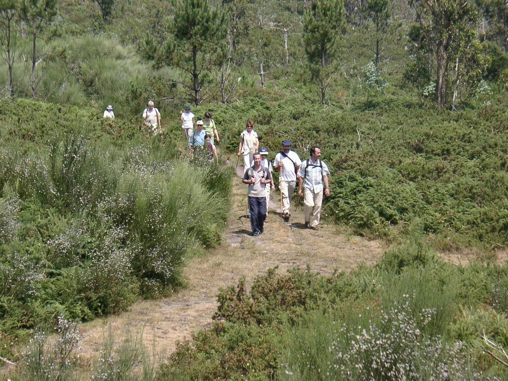 Moinhos de Trás da Costa