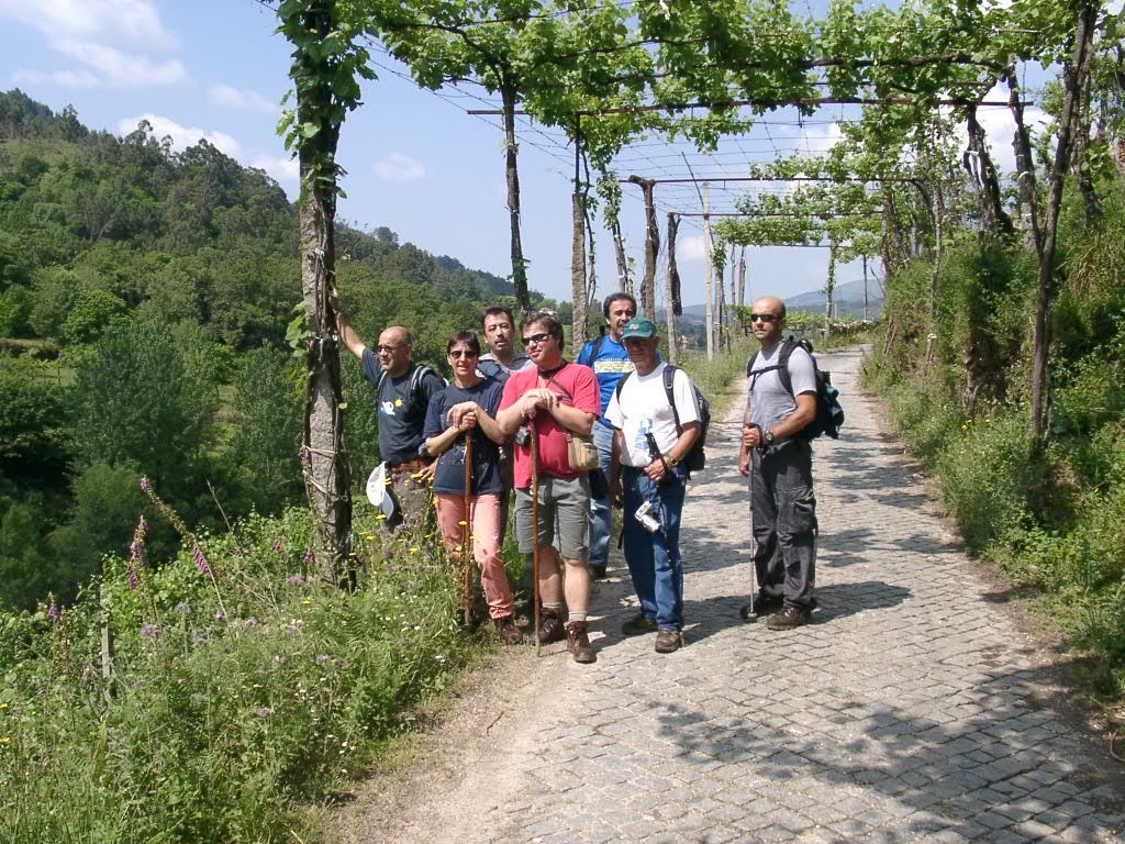 Moinhos e Regadios de Chamoim