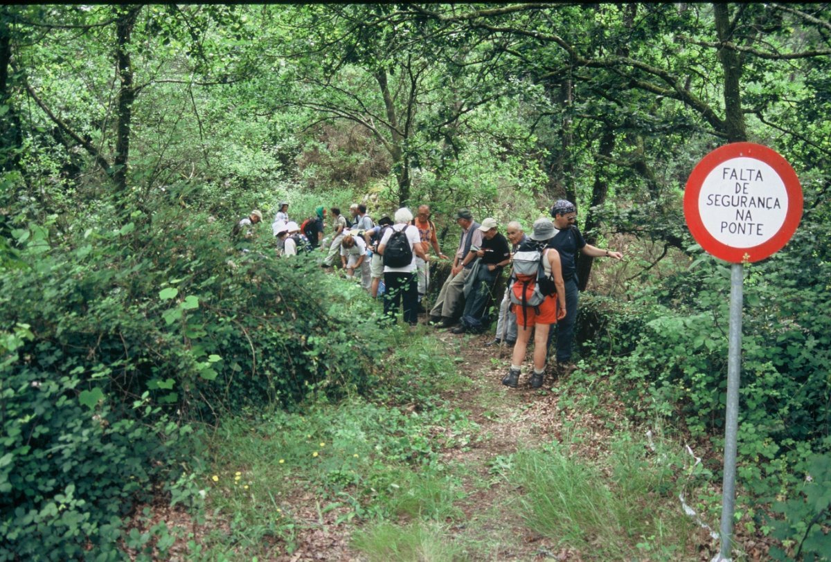 Ponte de Sains - S. Lourenço