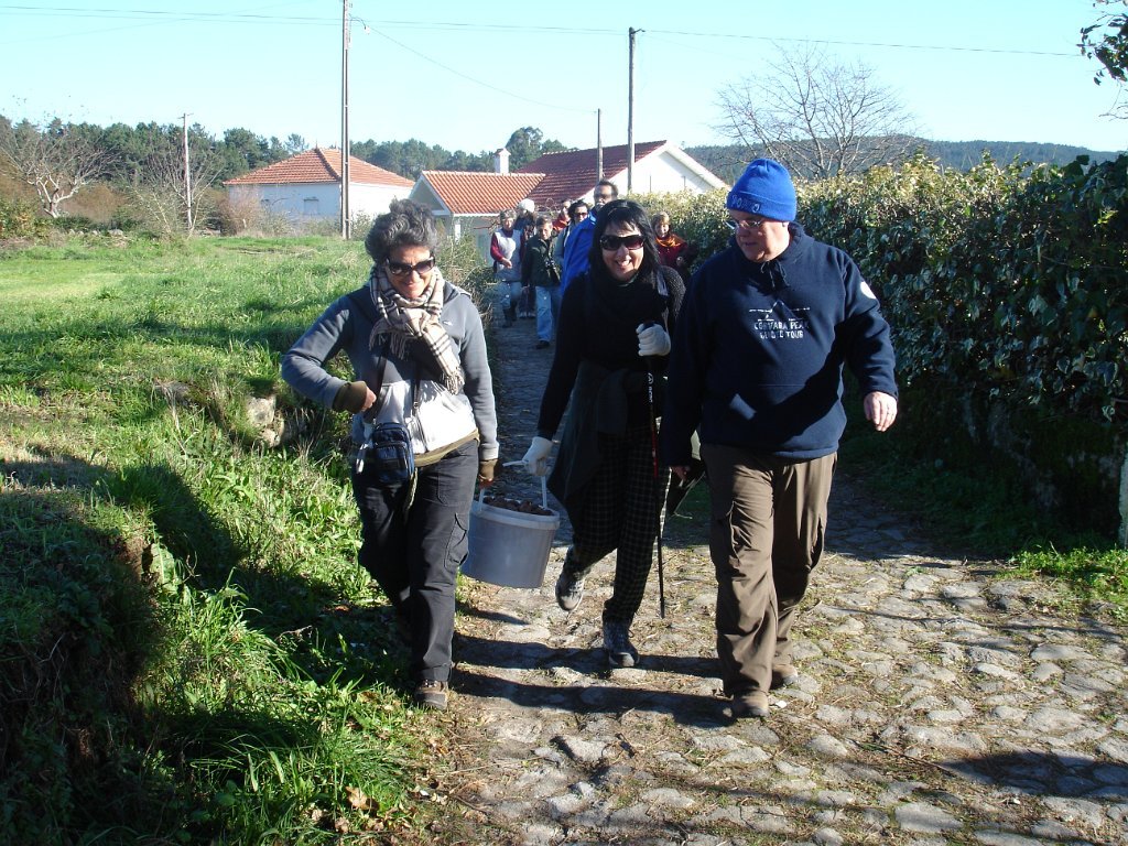 Trilho Interpretativo da Ribeira de Covas - Trilho de Pagade