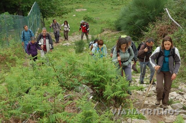 Pelas Brandas de Travanca Cova e Cobernos