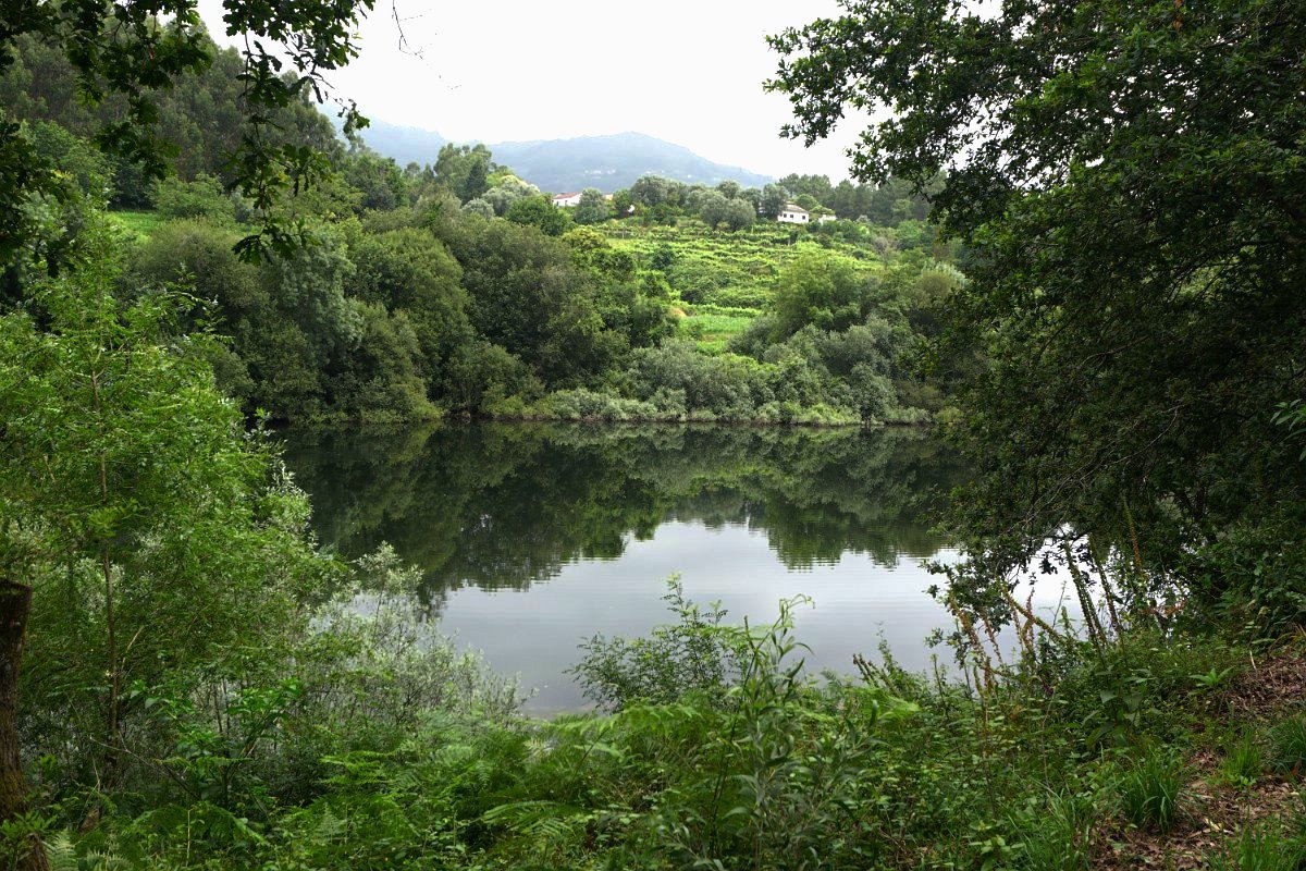 Ecovia Ponte de Lima - Gemieira
