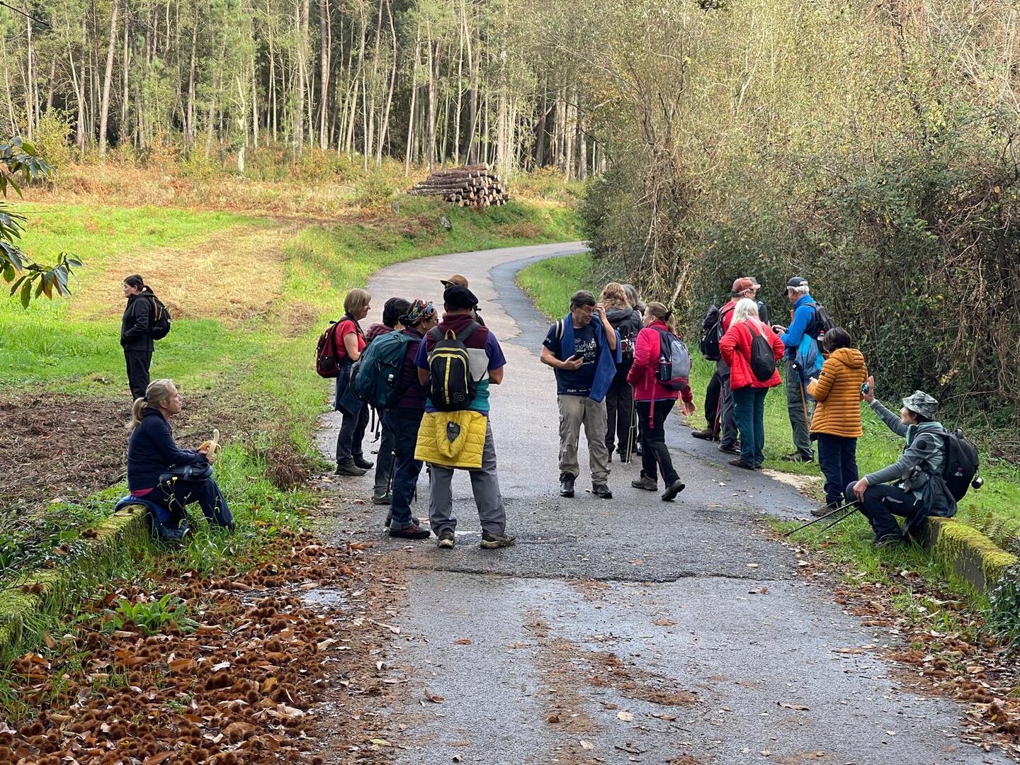 Caminhada da Ruralidade - Trilhos dos Moinhos de Candemil